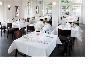 TOVAGLIA EVOLIN 50pz 110X110 BIANCO (1 pz) COD 164166 DUNI