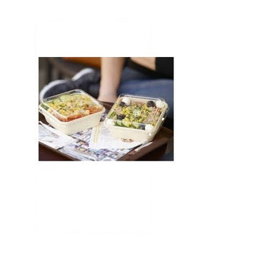 SCATOLA BAGASSA MARRONE 900ml 40pz MS (1 pz) COD.177006 DUNI