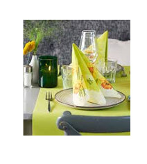 TETE A TETE DUNICEL KIWI 0.41X24m (4 pz) COD 183389 DUNI