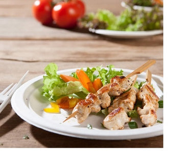 PIATTO TONDO 22cm BAGASSA B.50pz MS (1 pz) DUNI 161205