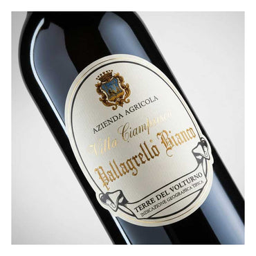 VINO PALLAGRELLO BIANCO 2023 IGT -75CL VESTINI CAMPAGNANO TERRE DEL VOLTURNO