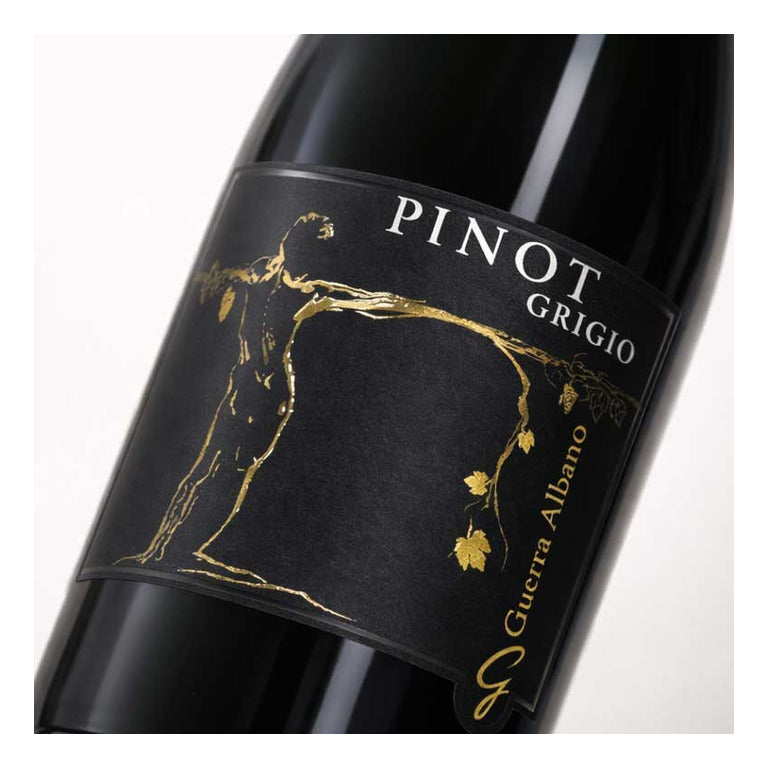 VINO GUERRA ALBANO PINOT GRIGIO 2025 FRIULI COLLI ORIENTALI DOC-75CL