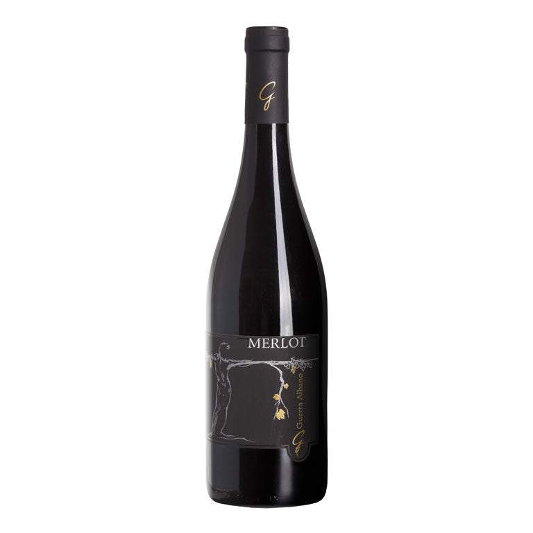 VINO GUERRA ALBANO MERLOT 2022 (1 pz) FRIULI COLLI ORIENTALI DOC-75CL