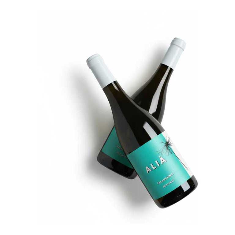 VINO FALANGHINA ALIA FRIZZANTE CANTINA DI SOLOPACA IGP-75CL