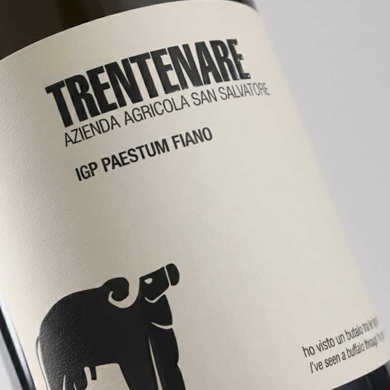 VINO TRENTENARE IGP PAESTUM FIANO 2024 AZIENDA AGRICOLA SAN SALVATORE BIO- 75CL