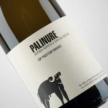 VINO SAN SALVATORE PALINURE FIANO PAESTUM IGT 2024 -75CL