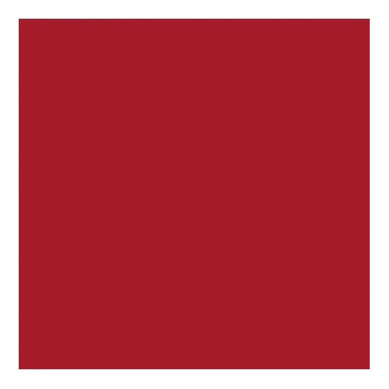 COPRIMACCHIA RED DUNISOFT 50pz 100x100 (1 pz) COPRIMACCHIA DUNI 169623
