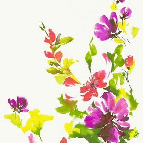 TOVAGLIOLI SUNRISE STRI 4 VELI 40x40 50p  COD 168222 DUNI