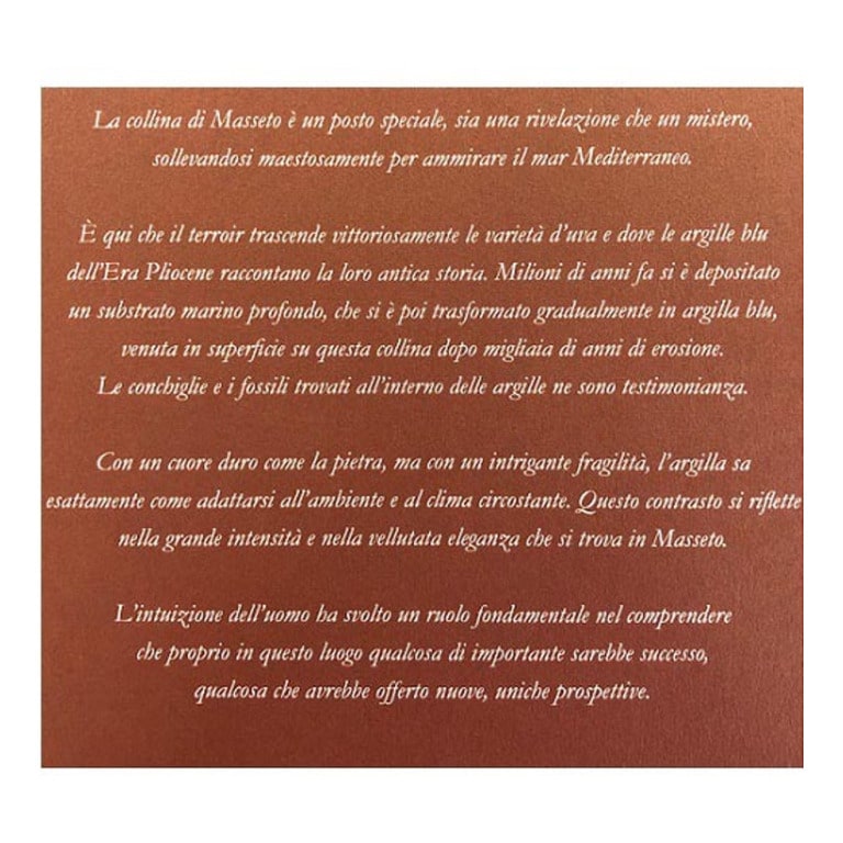 VINO MASSETO 2019 TOSCANA IGT-75CL 