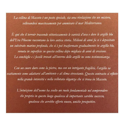 VINO MASSETO 2019 TOSCANA IGT-75CL 