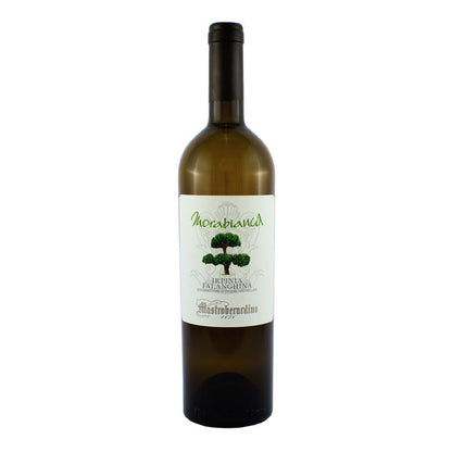 VINO MASTROBERARDINO MORABIANCA 2020  IRPINIA FALANGHINA DOC-75CL