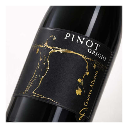 VINO GUERRA ALBANO PINOT GRIGIO 2025  FRIULI COLLI ORIENTALI DOC-75CL