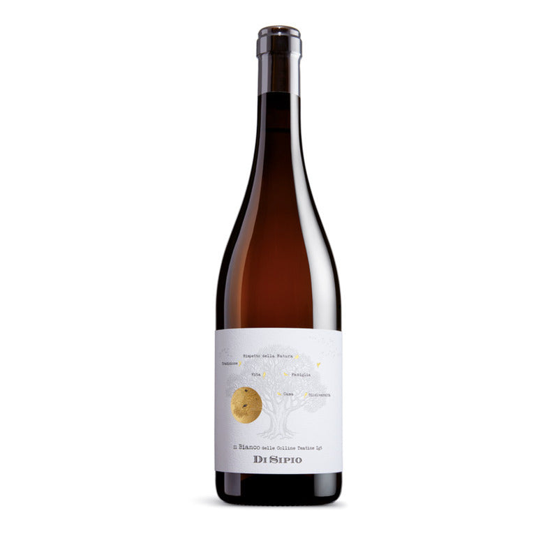 VINO DI SIPIO BIANCO DELLE COLLINE 2024  TEATINE IGT - LINEA RADICI 75CL