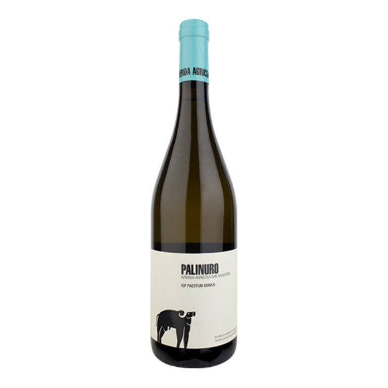 VINO SAN SALVATORE PALINURE FIANO (1 pz) PAESTUM IGT  2024 -75CL