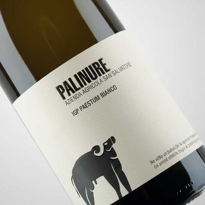 VINO SAN SALVATORE PALINURE FIANO  PAESTUM IGT  2024 -75CL